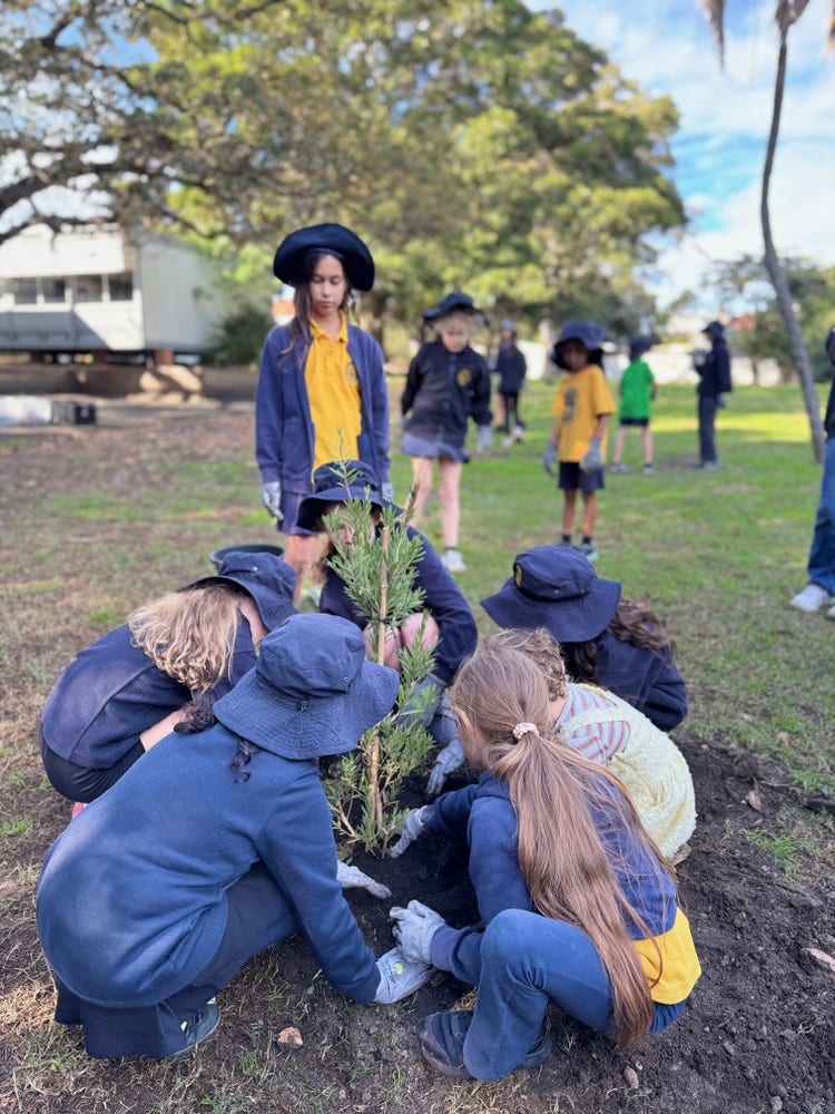 Image of students planting trees