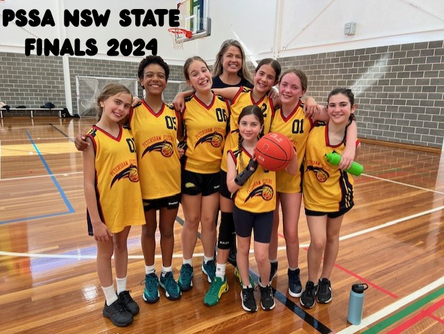 Image of girls basketball team at the state finals
